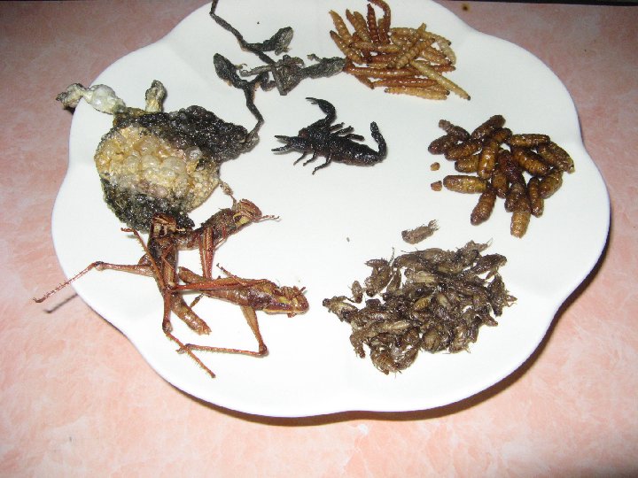 Tha�lande: on mange des insctes