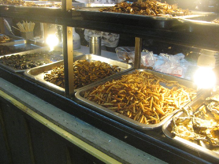 Chiang Rai: chenilles � manger