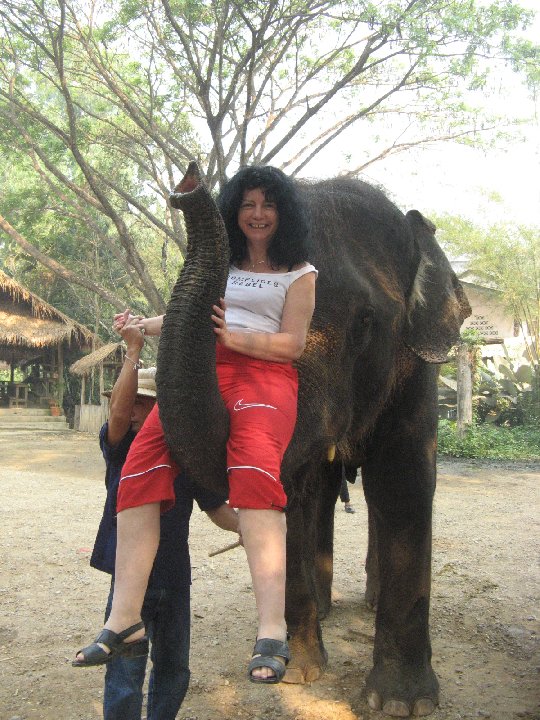 Maetaman Elephant Camp:�l�phants de Tha�lande