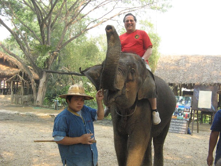 �l�phants de Tha�lande : Maetaman Elephant Camp