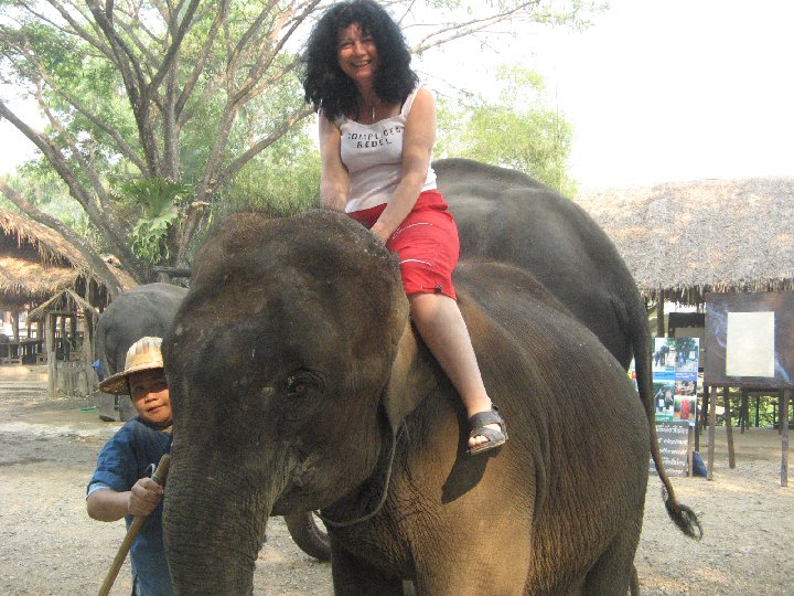 �l�phants de Tha�lande : Maetaman Elephant Camp