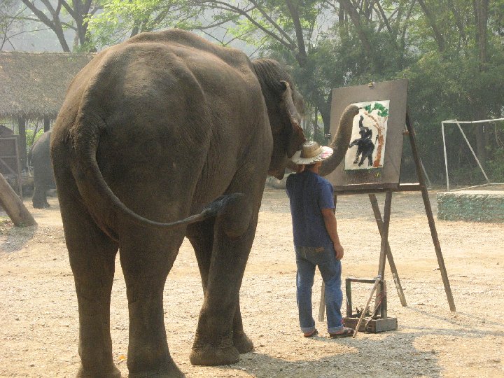 �l�phants de Tha�lande