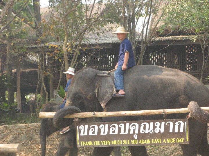 �l�phants de Tha�lande