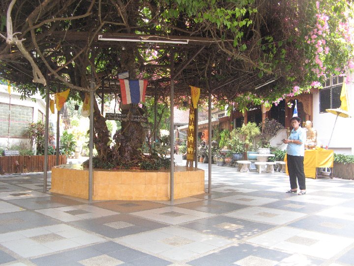Chiang Mai Wat Phra That Doi Suthep