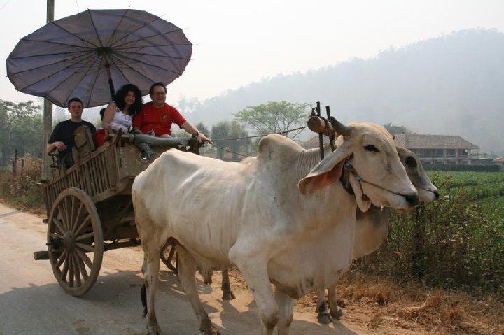 transport lent pour touristes fortun�s