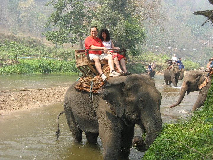 Elephant en Tha�lande