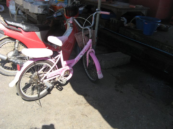 v�lo rose en Tha�lande